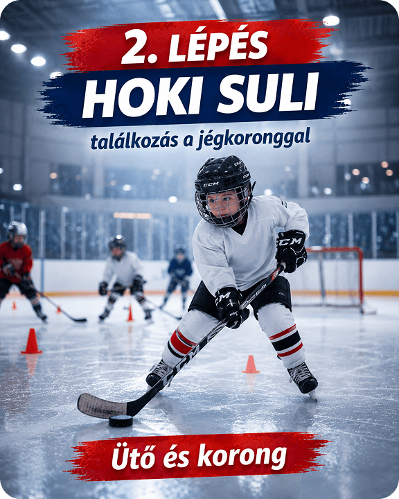 Hoki suli